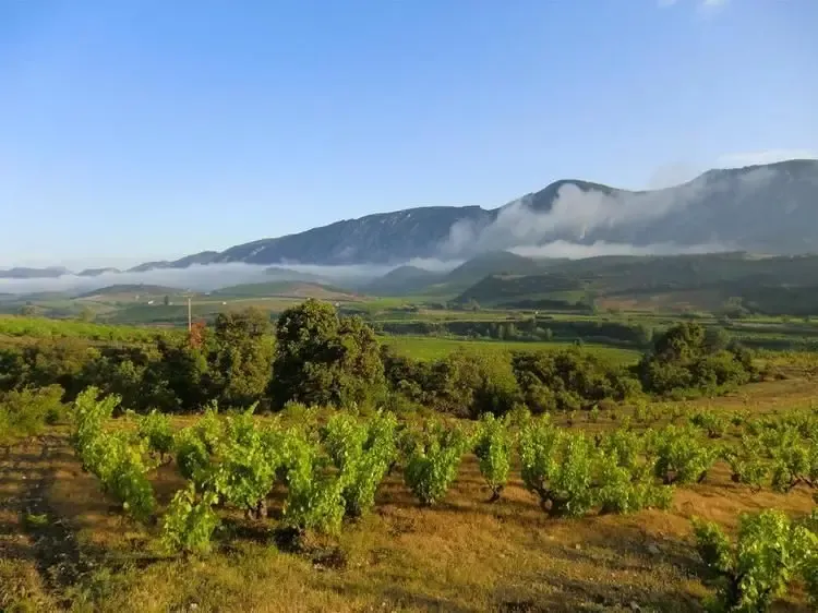 Domaine Jorel
