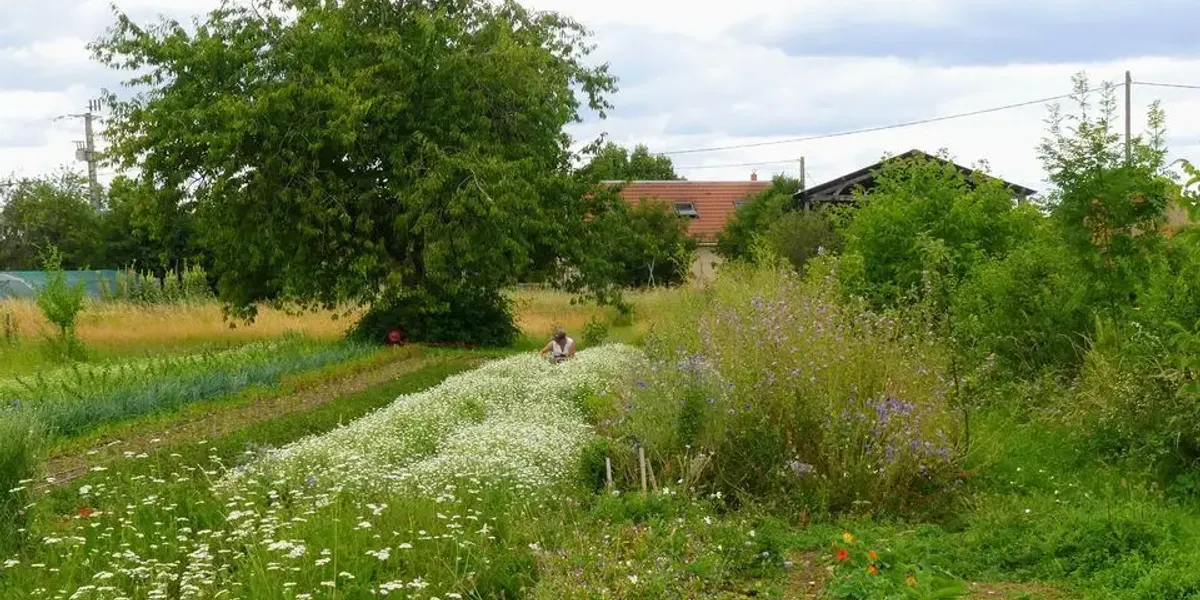 Les Jardins d'Elodie