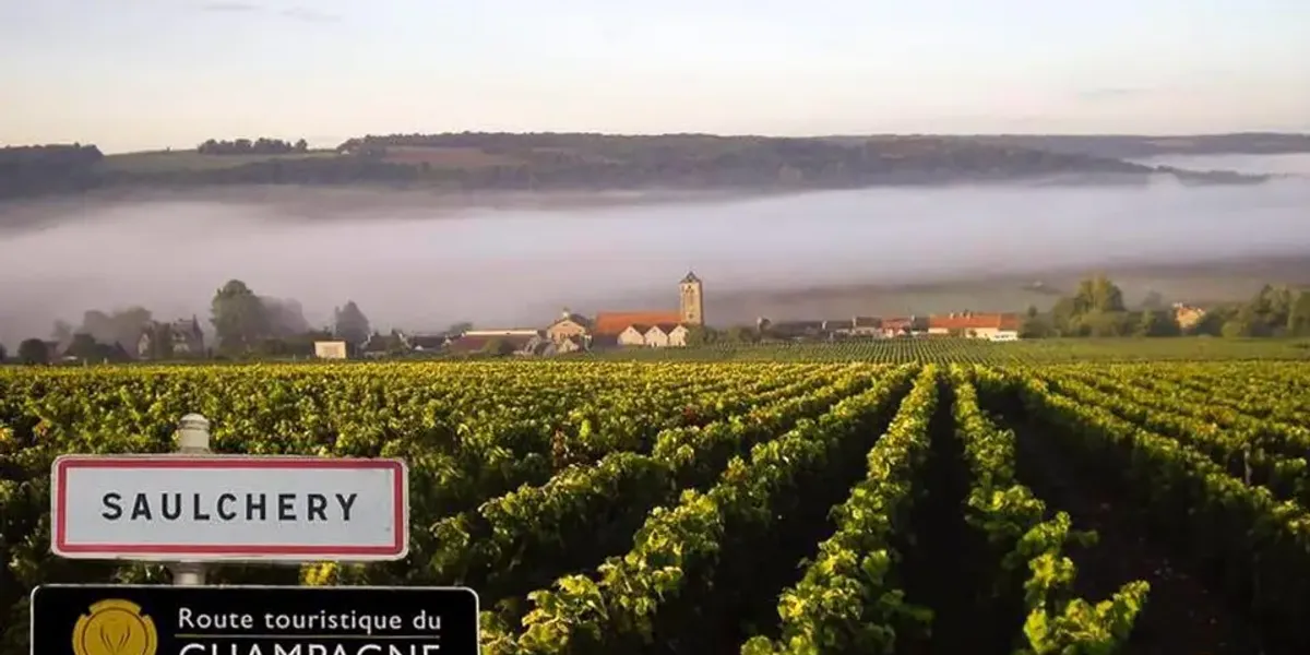 Champagne PIERRE Laurent