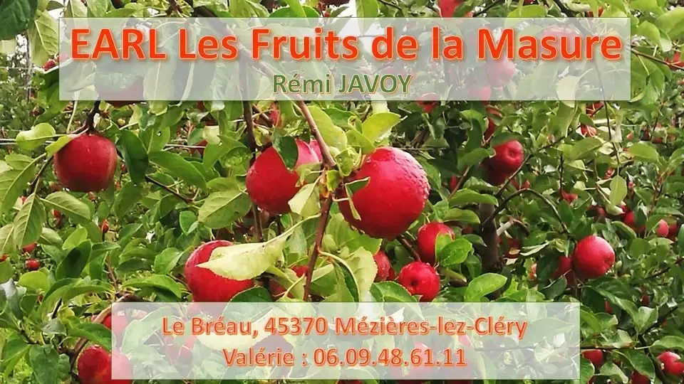 EARL Les Fruits de la Masure - Rémi JAVOY