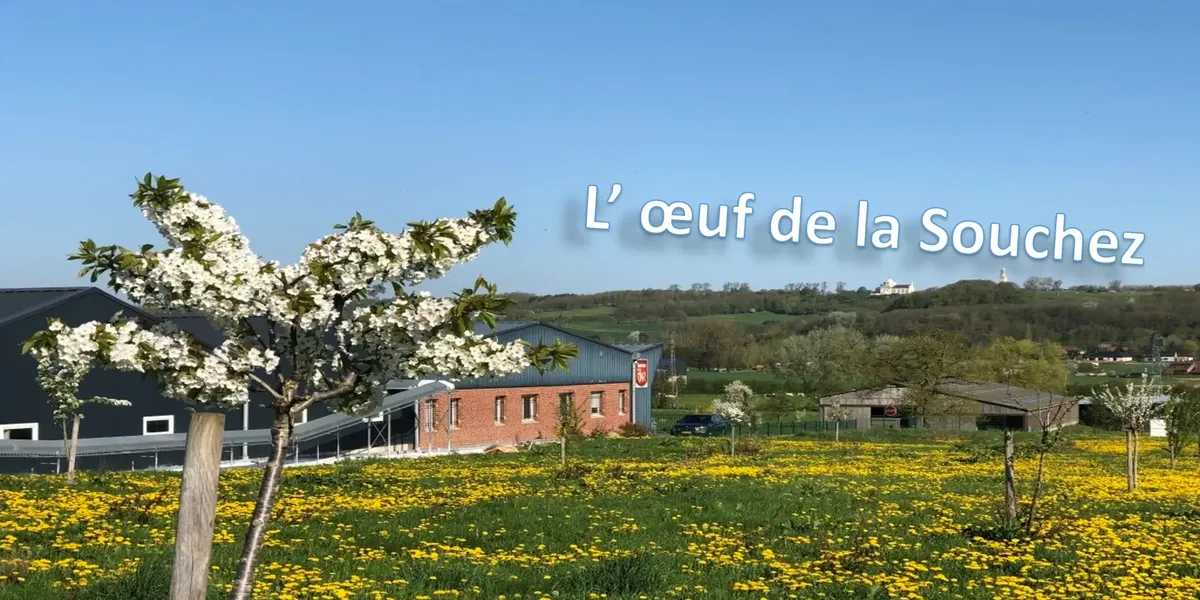 L'Œuf de le Souchez