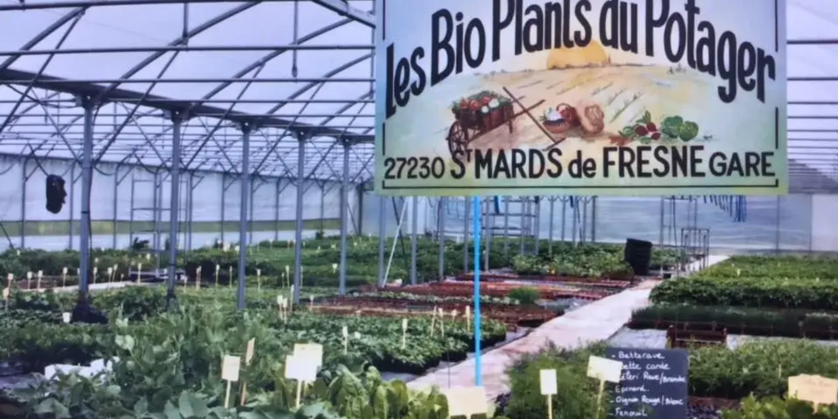 GAEC Les Bio Plants du Potager