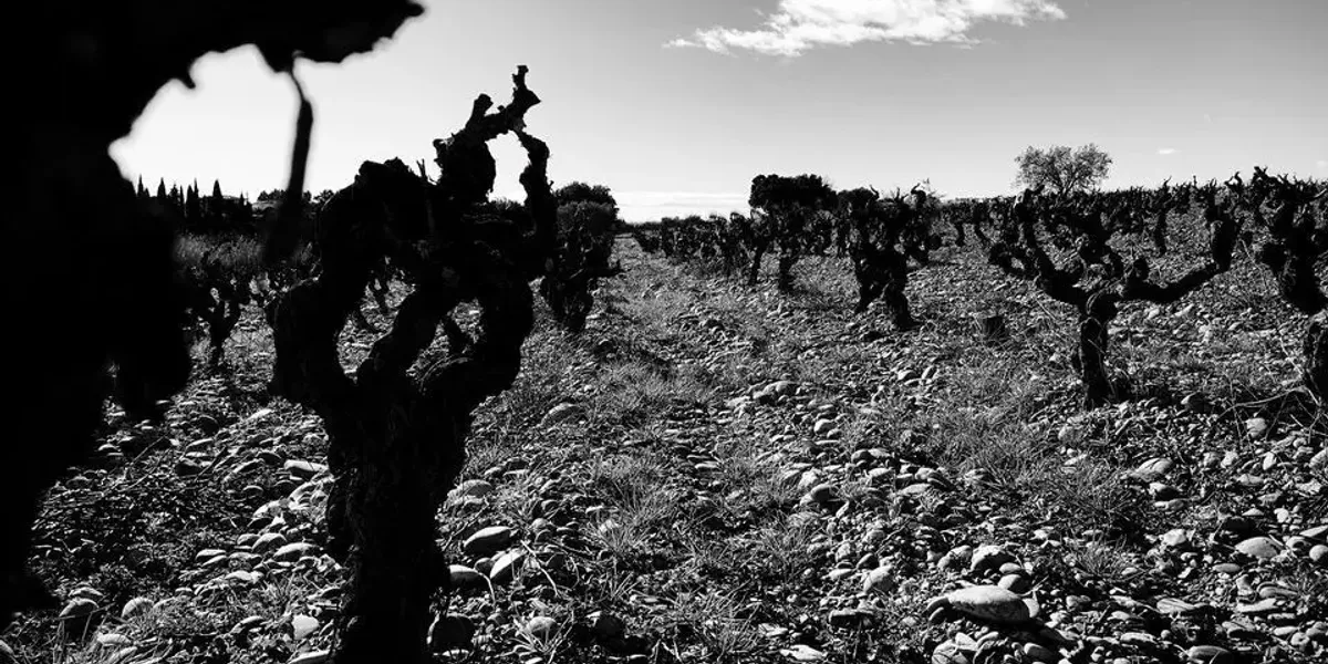 Les Vignerons d'Estézargues
