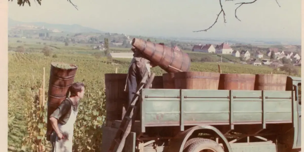 Mauler Jean-Paul Earl - Riesling - Pinot - Crémant