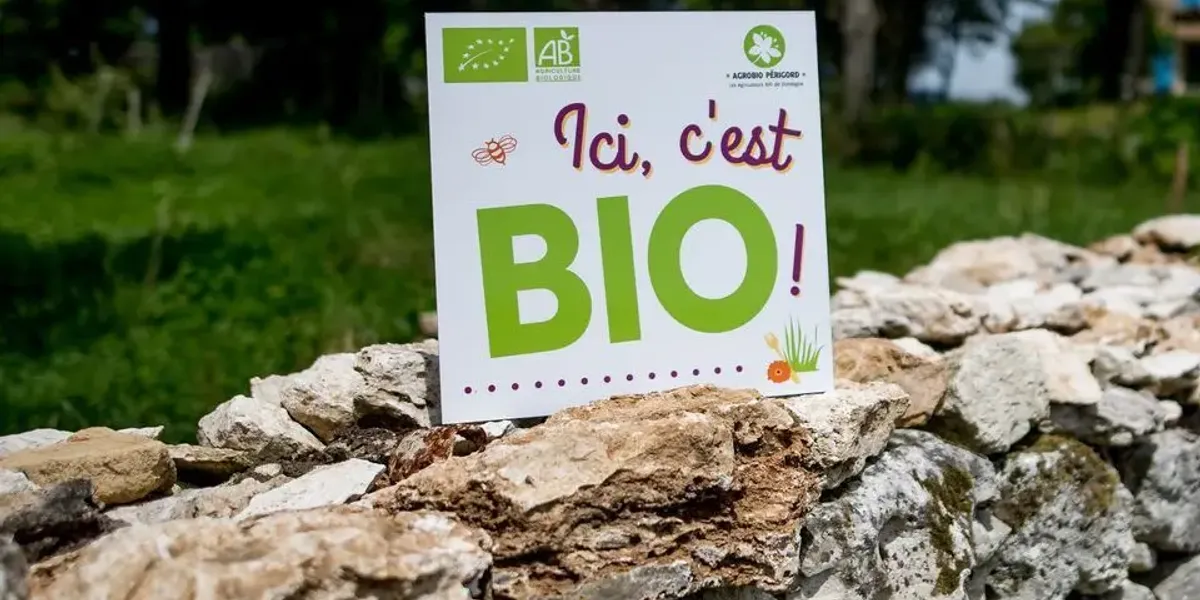 Les Saveurs du Bois du Roc