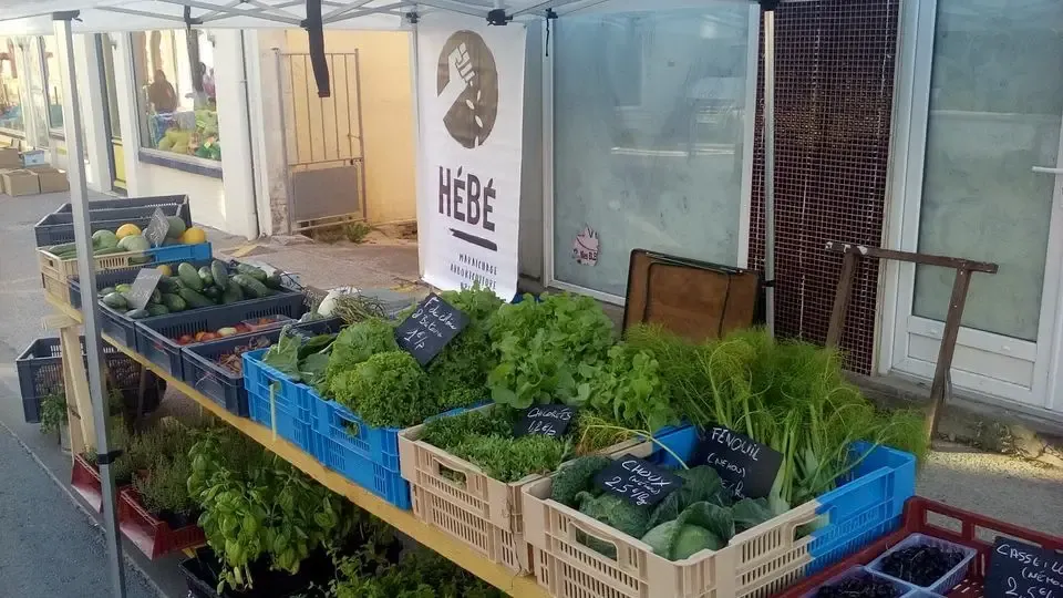 Hebe