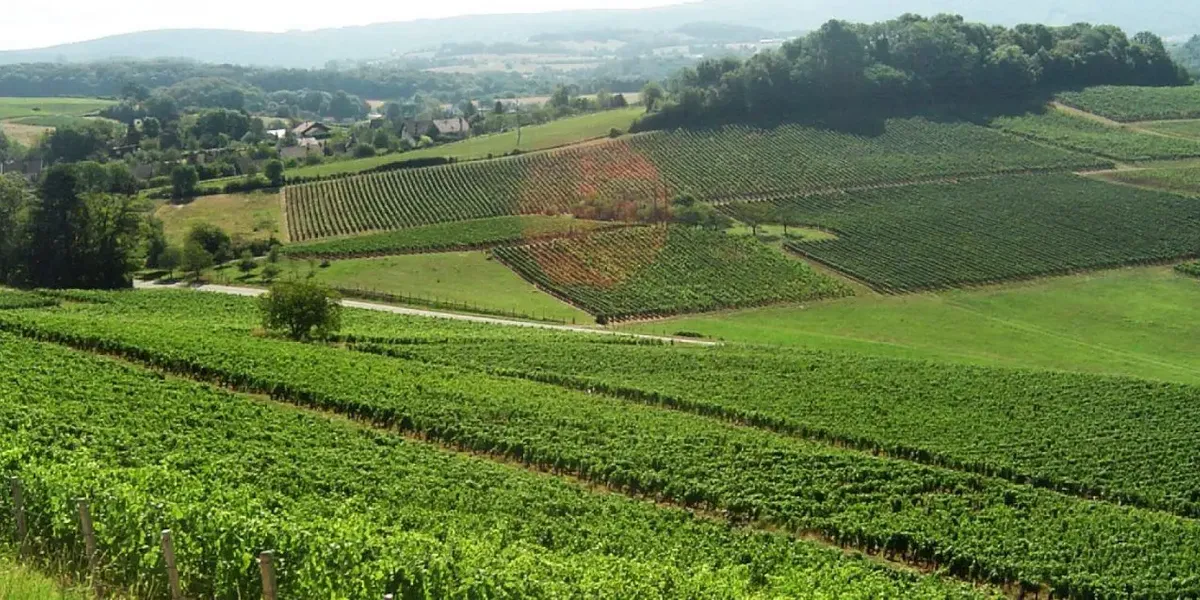 Vapillon Jean-Yves