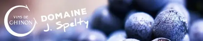 Domaine Johann Spelty