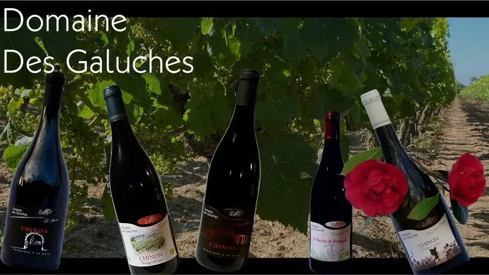 Domaine des GALUCHES