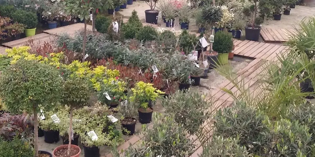 MEREL Horticulture Jardinerie de L'epinay