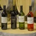 Logo de Vignobles Zaros