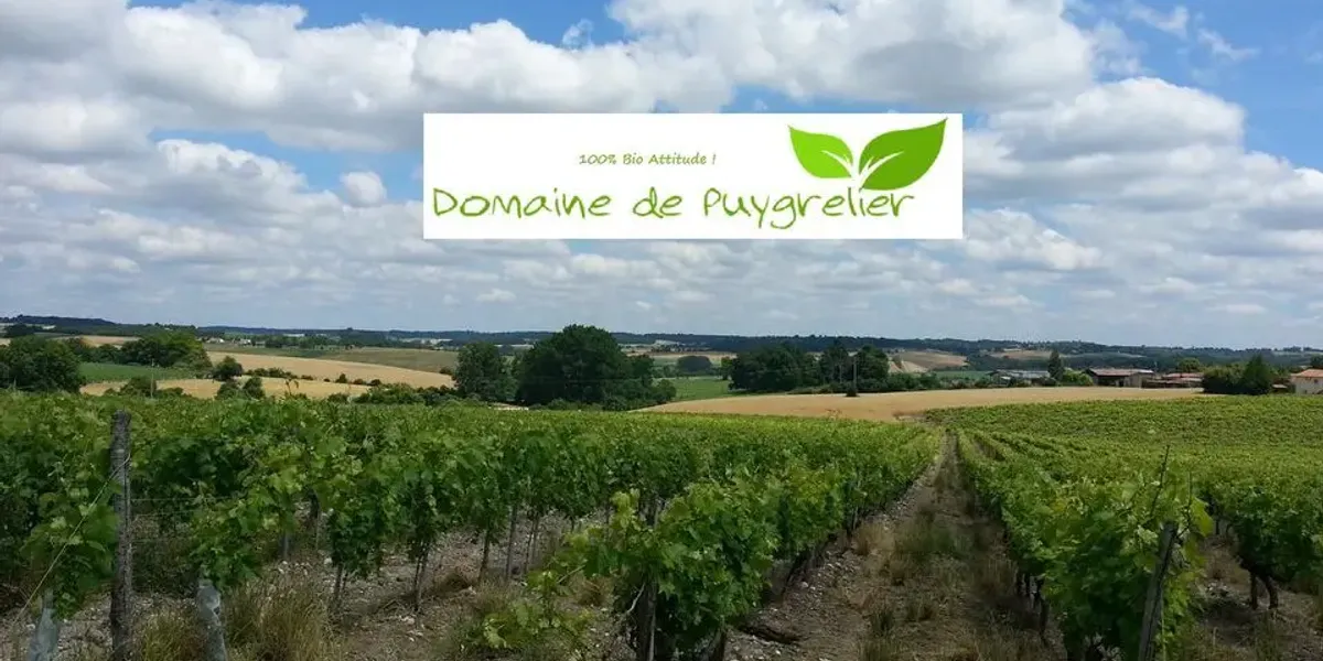 Domaine de Puygrelier