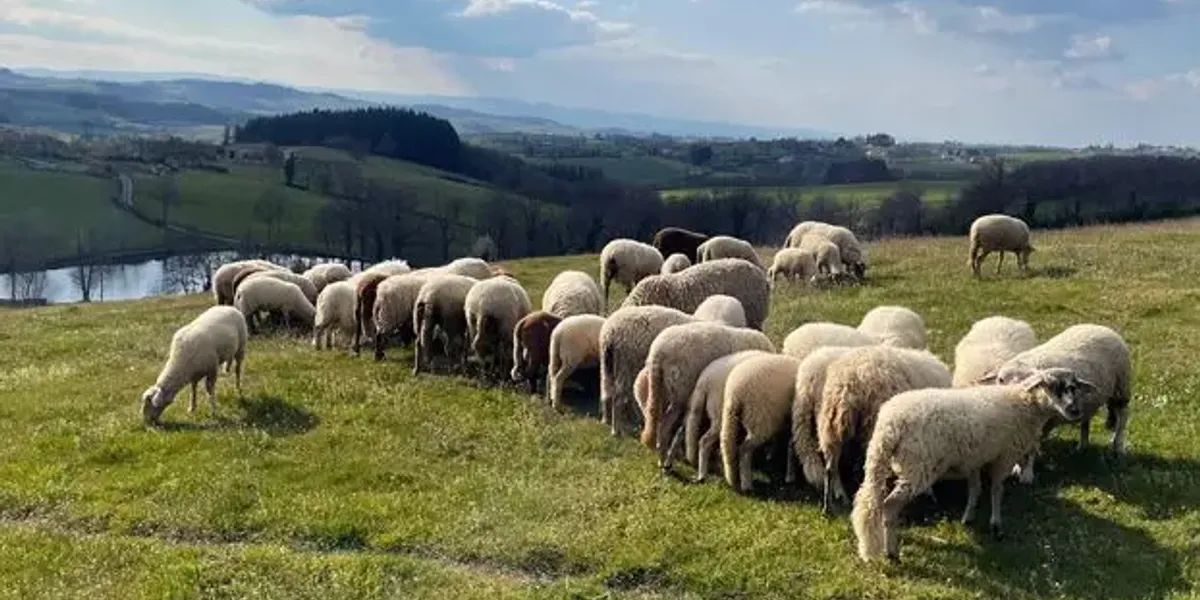 Ferme de Vernand