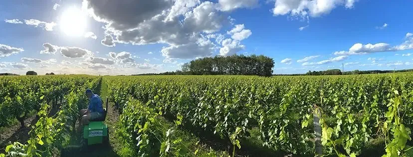 Domaine du Bois Gaultier