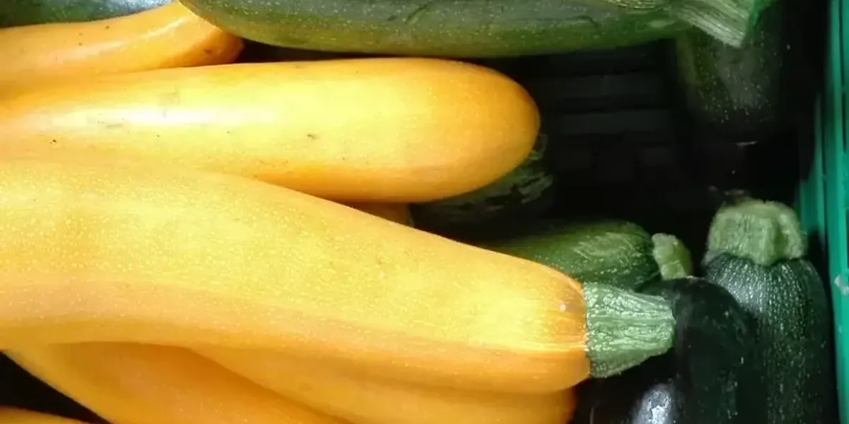 Le Potager De Fontjalabert EARL