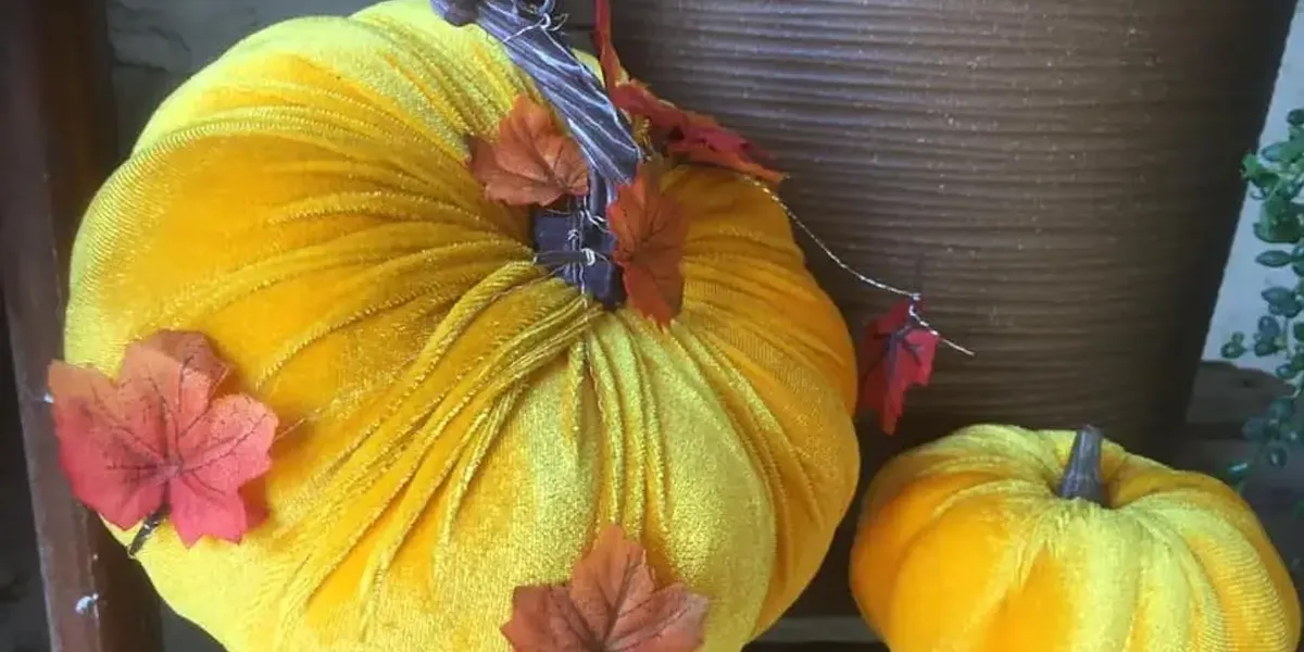 Plank and Son