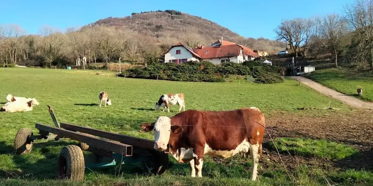La Tome Du Poupet