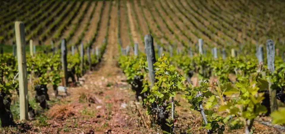 La Barbotaine Champault Frédéric EARL