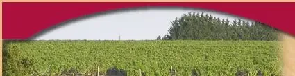 EARL BOULEAU (Linda et Cyril) - Vignoble des Baronneries