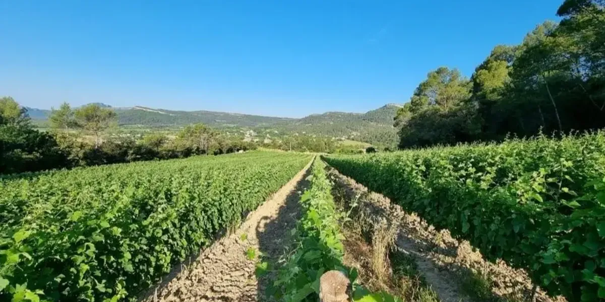 Bergerie du Capucin