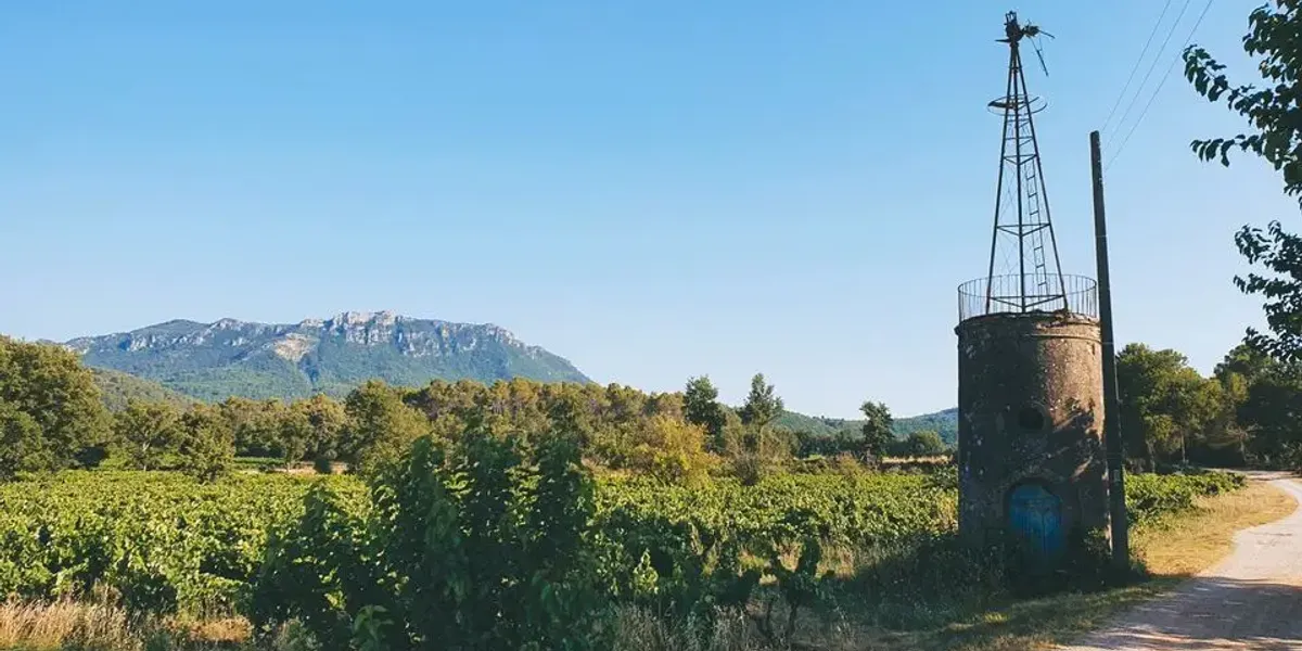 Domaine La Goujonne