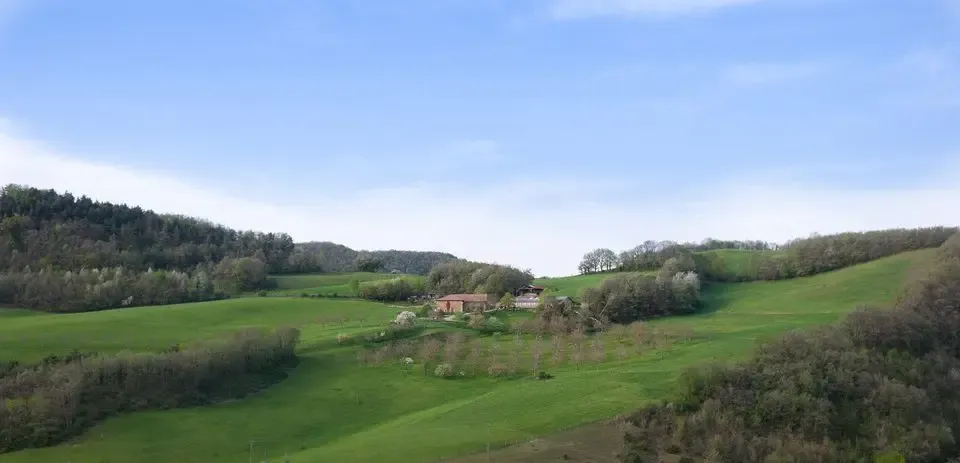 Gaec La Combe Du Lin