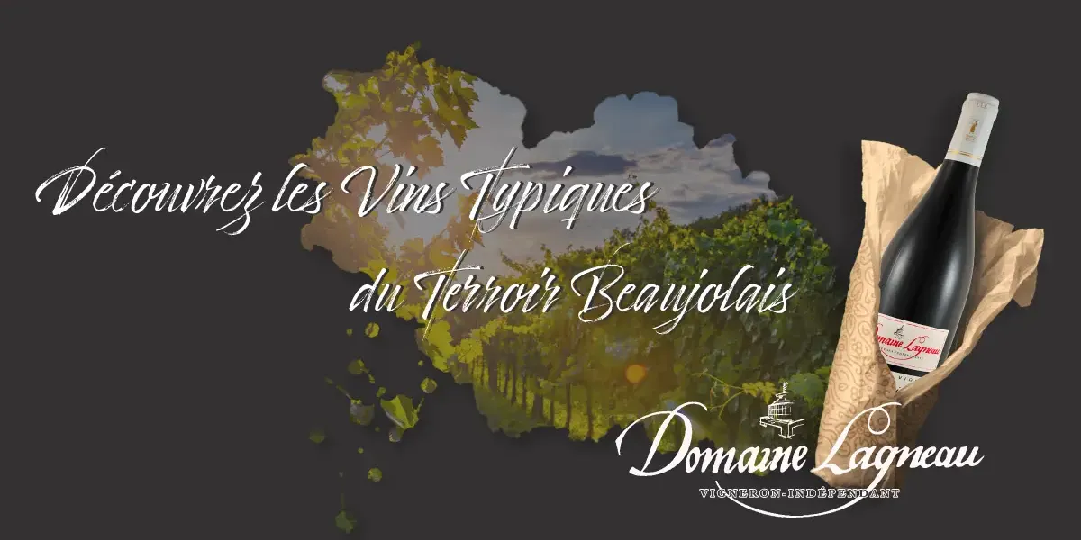 Domaine Lagneau Gérard et Didier