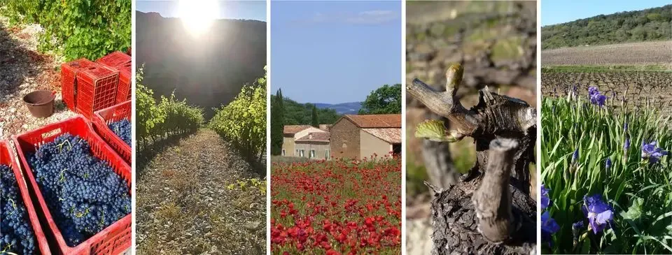 Domaine des Montèzes