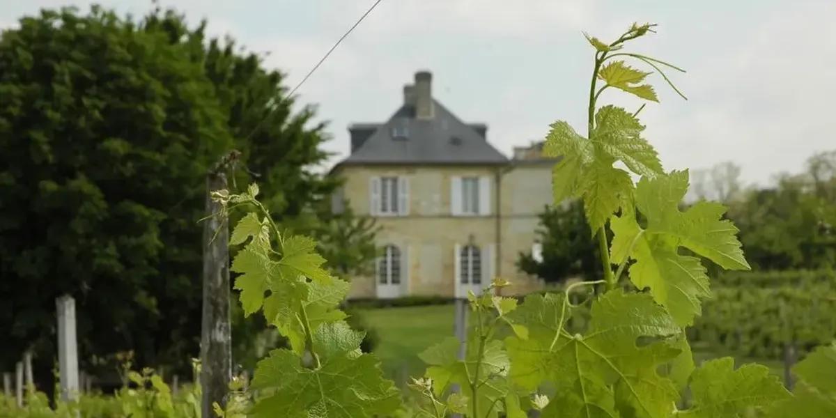 Vente de vins au Château Prieuré Canteloup