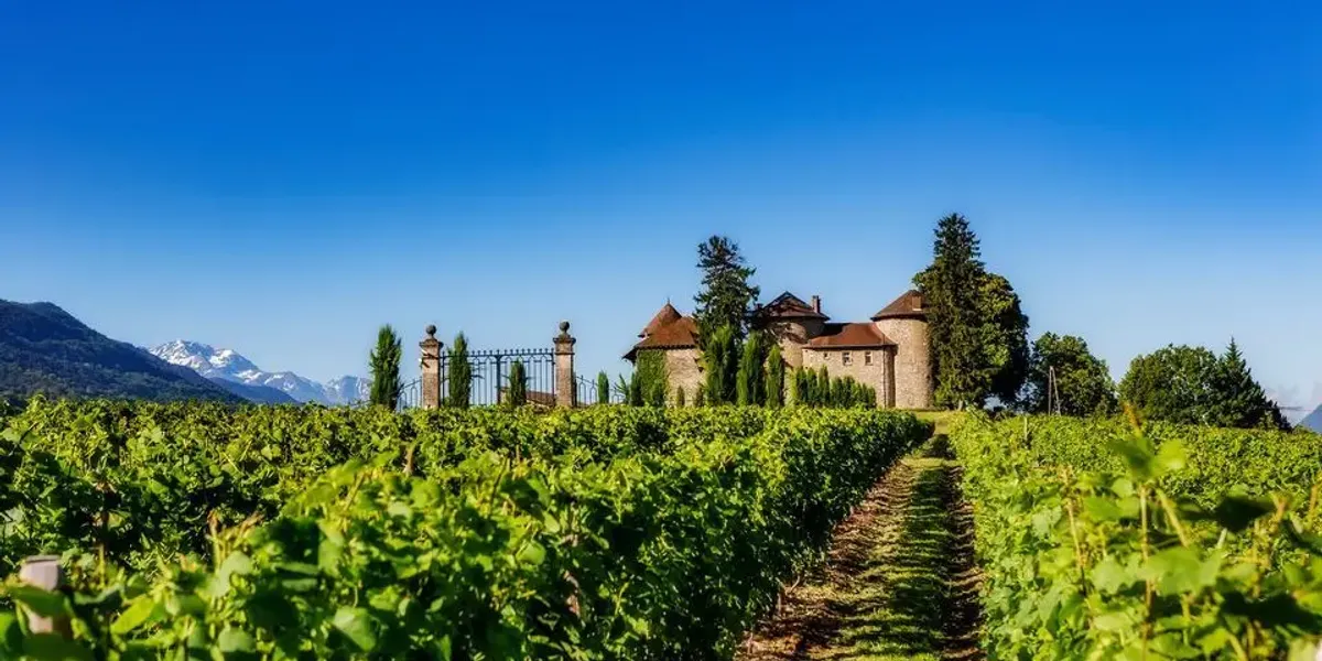 Château Bayard