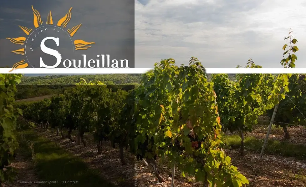 Domaine du Souleillan