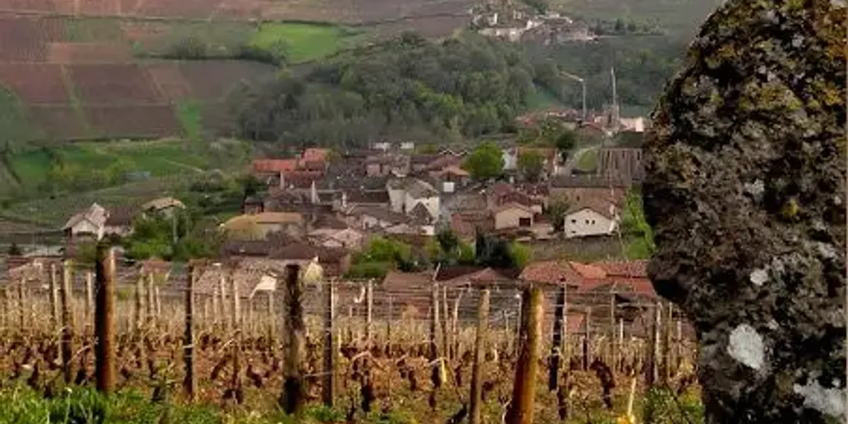 Domaine Guerrin et Fils