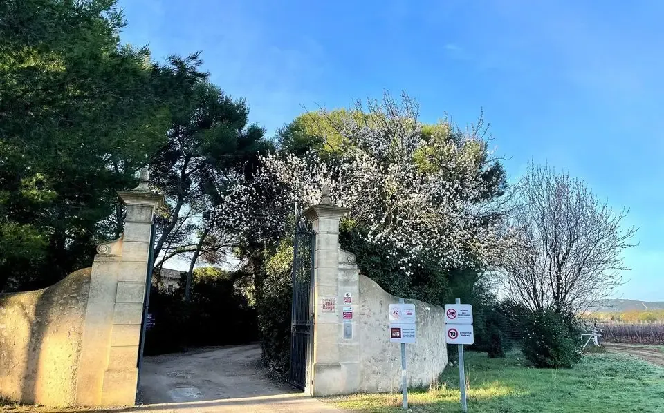 Domaine du Mas Rouge