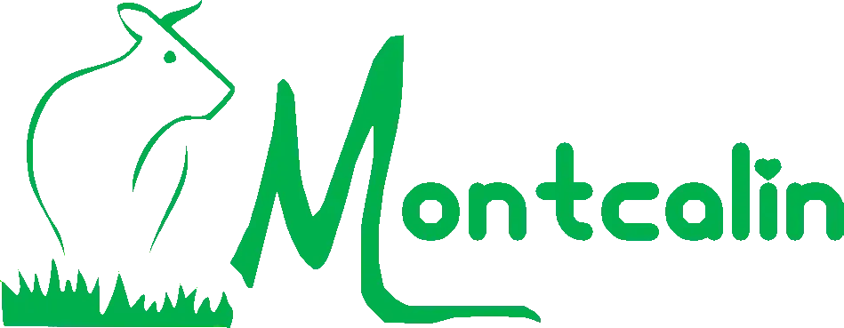 SCEA MONTCALIN