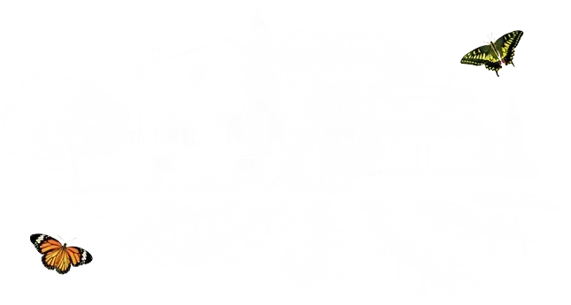 Du Serre Des Vignes GAEC