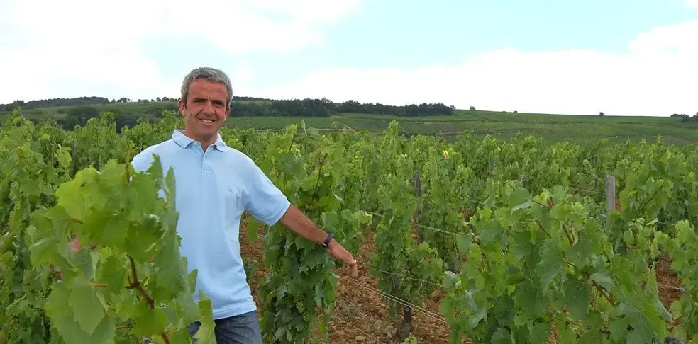 Domaine Pierre Vessigaud