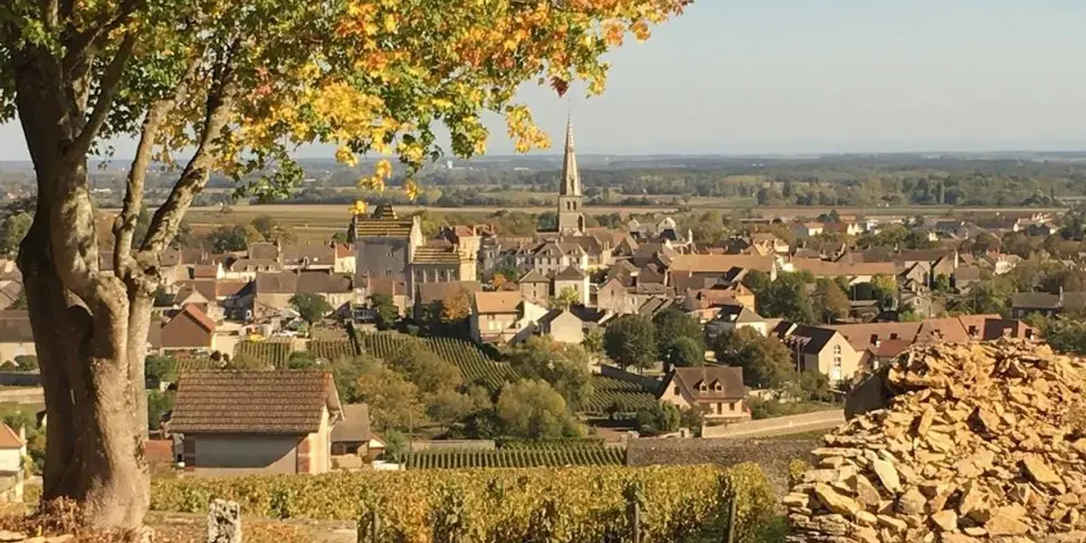 Domaine Pierre Morey