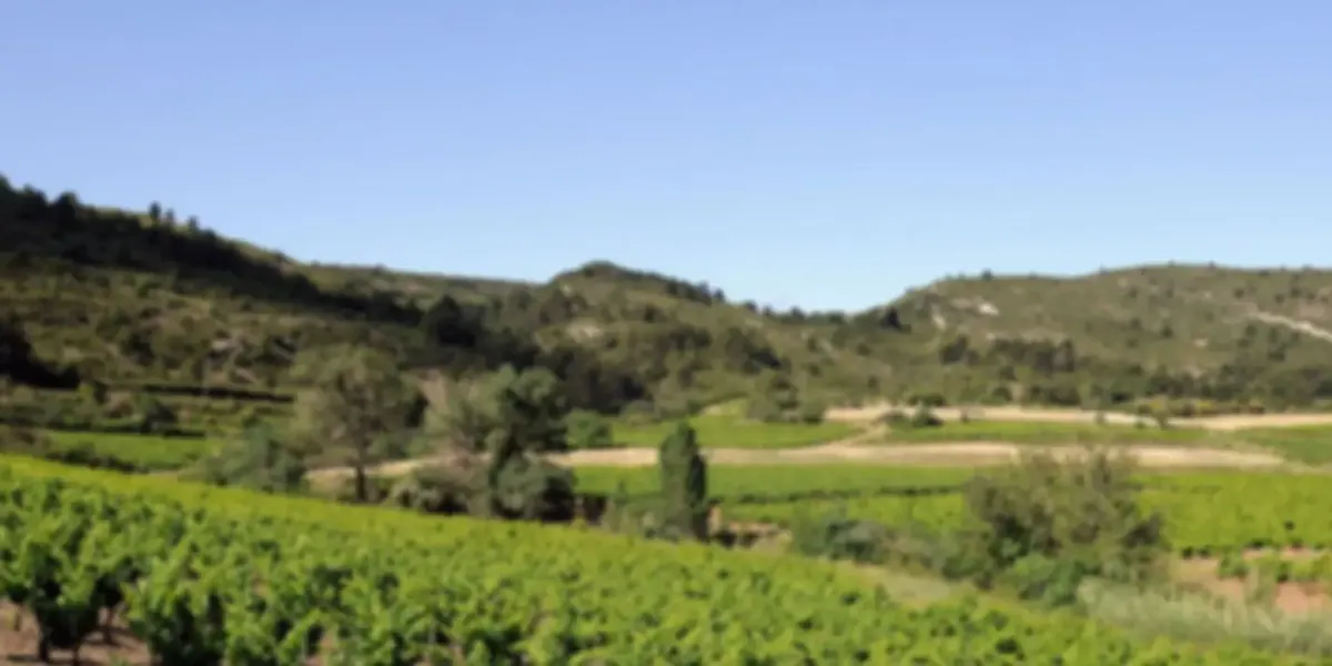 Les Vignobles de l'Alaric