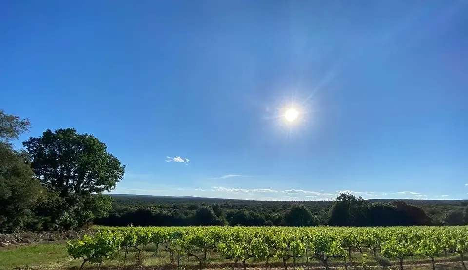 Domaine des Champs Vermeil