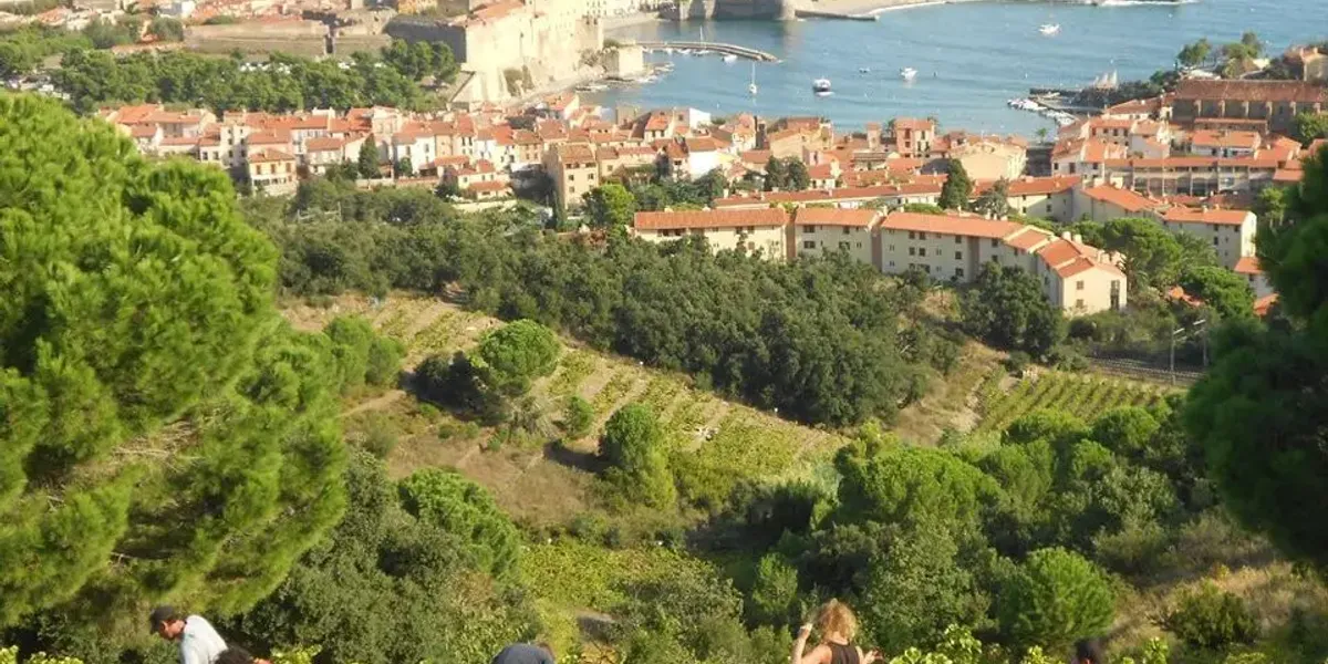 Domaine Pietri Geraud
