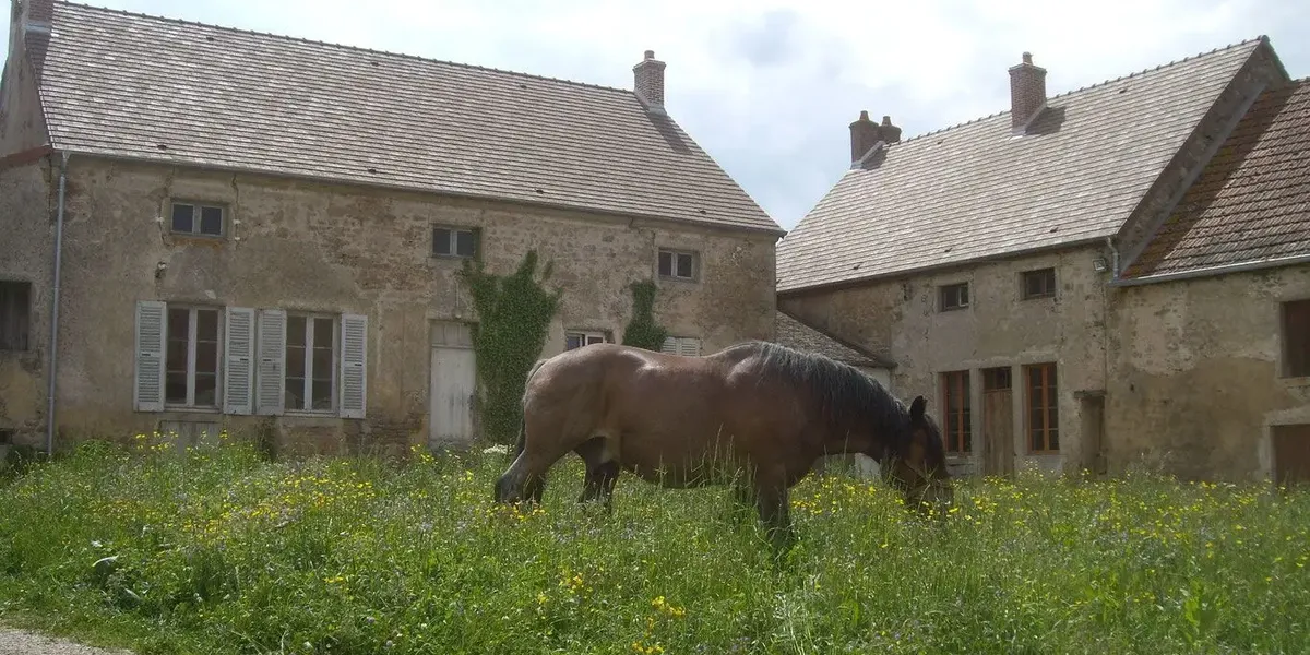 ferme equestre de preney