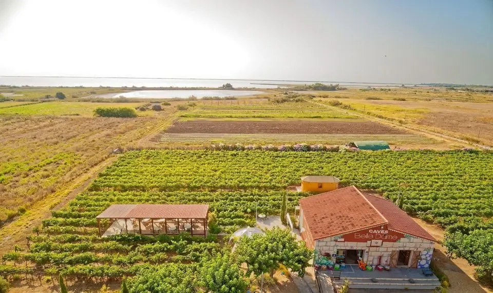 DOMAINE DE LA BELLE DAME