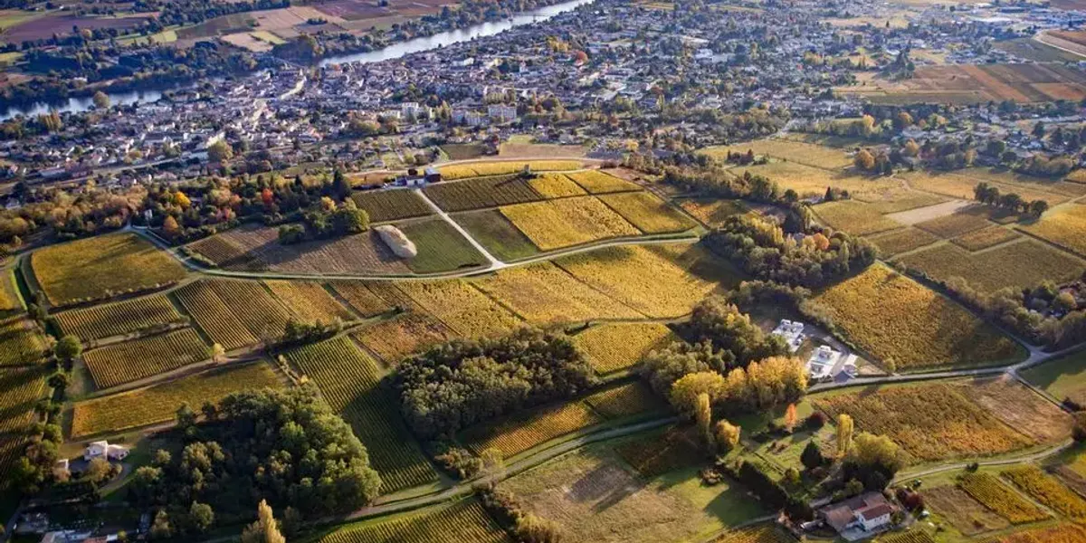 Vignobles Faytout