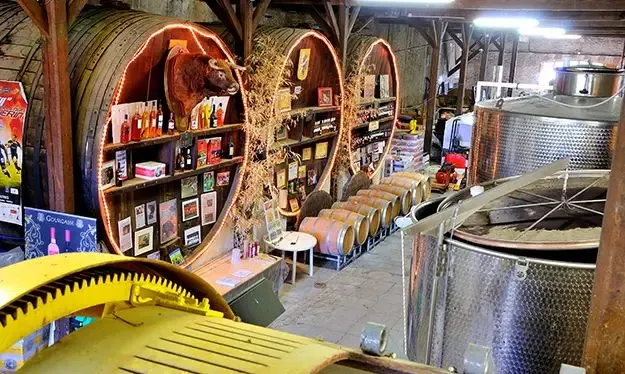 Domaine de la Gourgasse Neuve