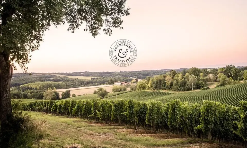 Domaine de Ménard