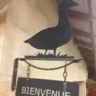 Logo de Ferme de Pleinefage