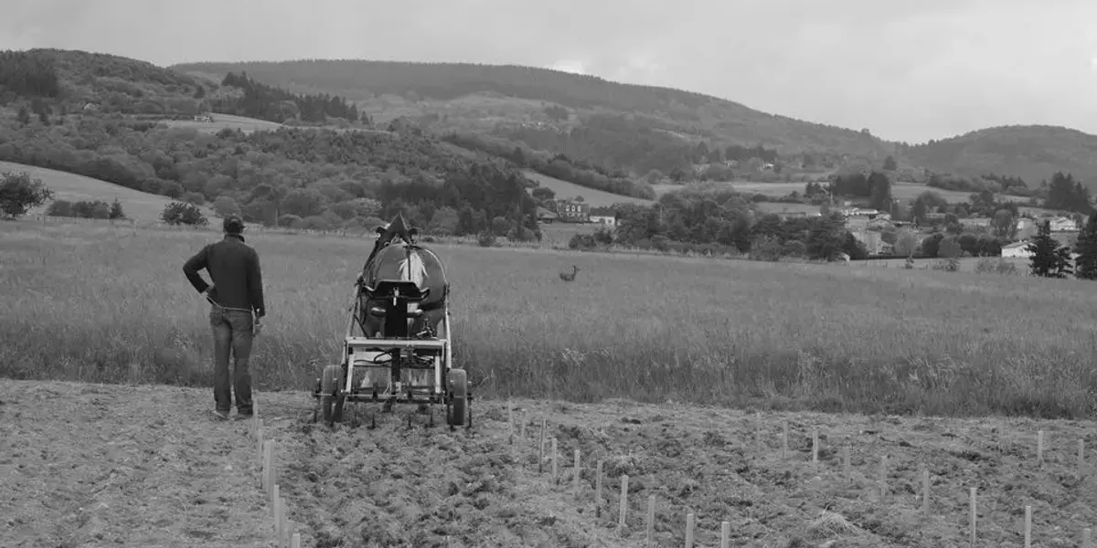 Domaine des Pothiers