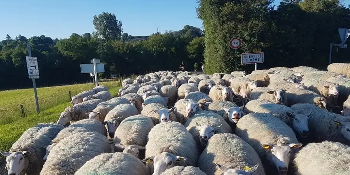 Ferme De Touchelion
