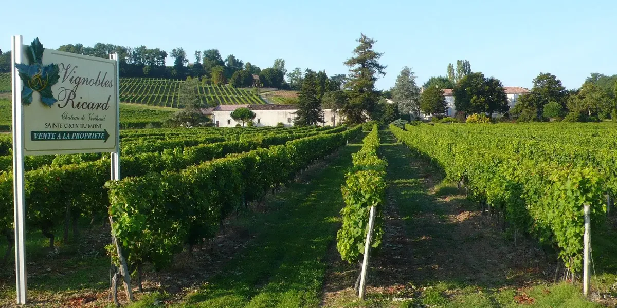 SCEA Des Vignobles Ricard