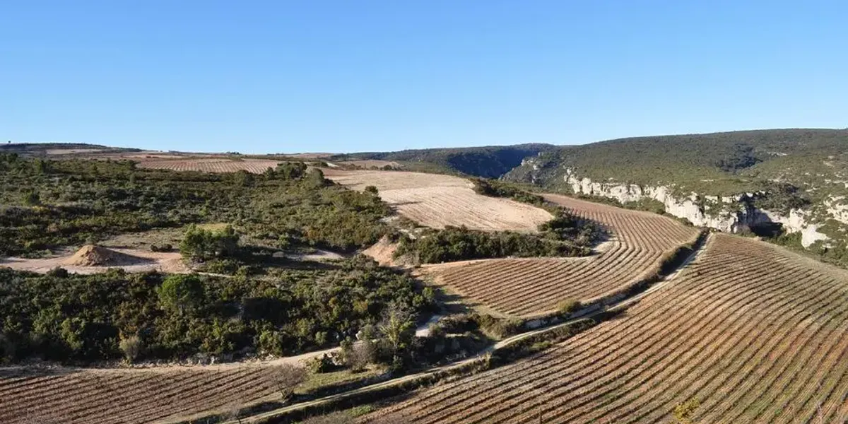 Domaine Rouanet Montcelebre